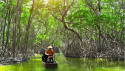 Pictured: Mangroves, which could provide an investment opportunity for those seeking biodiversity and carbon sequestration